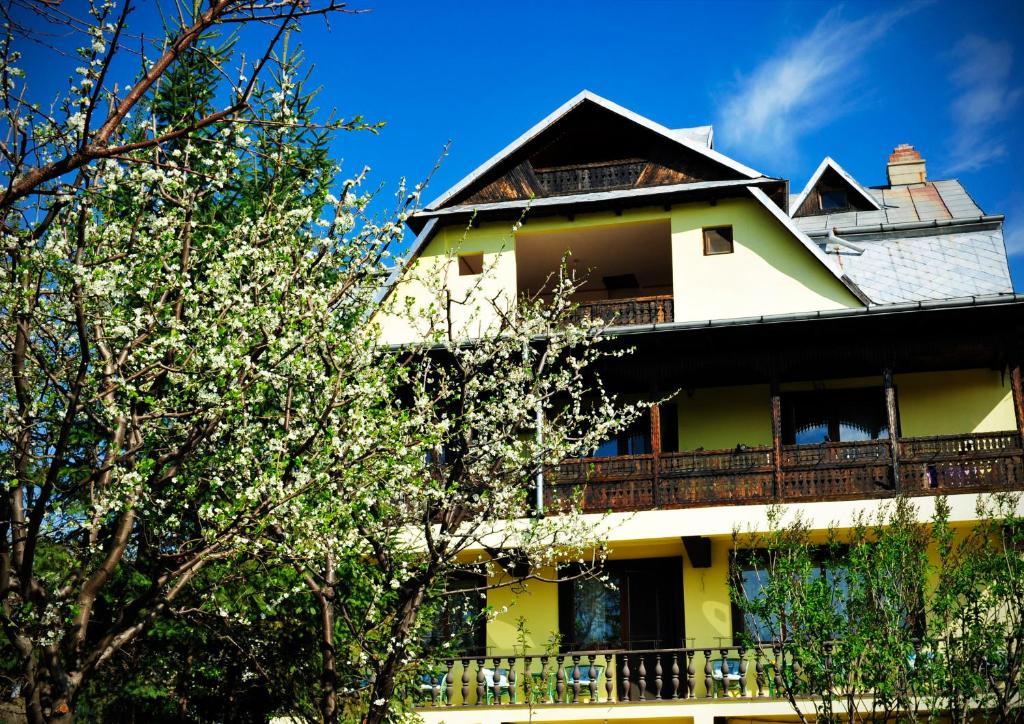 Pension Garofita Iasi Exterior foto
